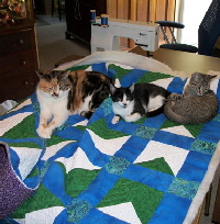 Kitties Quilt