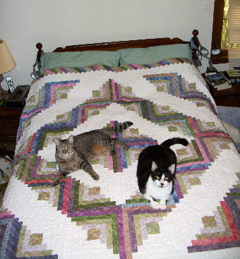 Martha Bagley's 90th Birthday Quilt with Cats